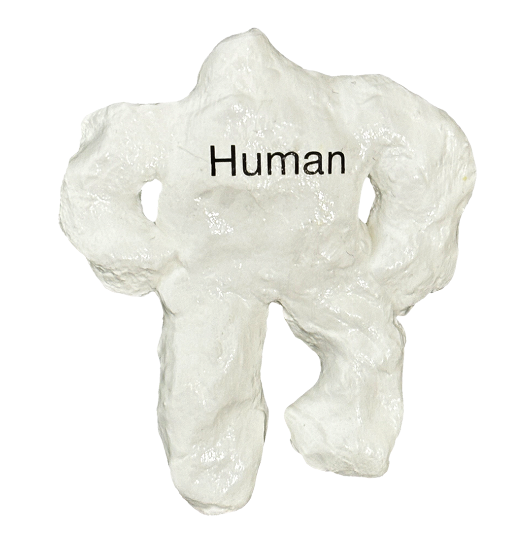 Human